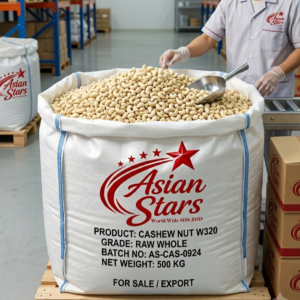 Premium Cashew Nuts WW320 | Wholesale Export & Supply
